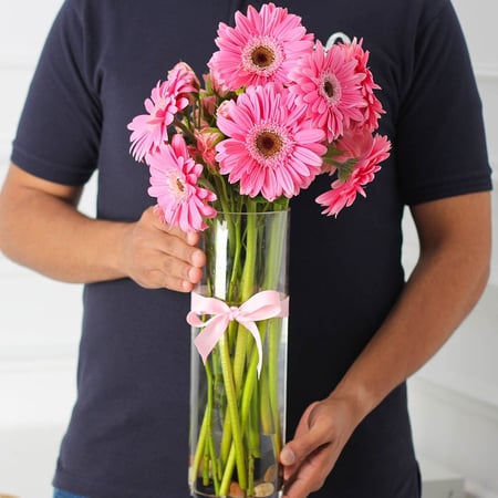 فازة الجربيرا وردي