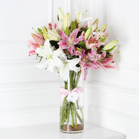 فازة الليليوم ابيض ووردي