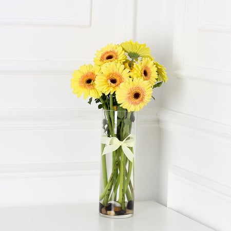 فازة الجربيرا اصفر