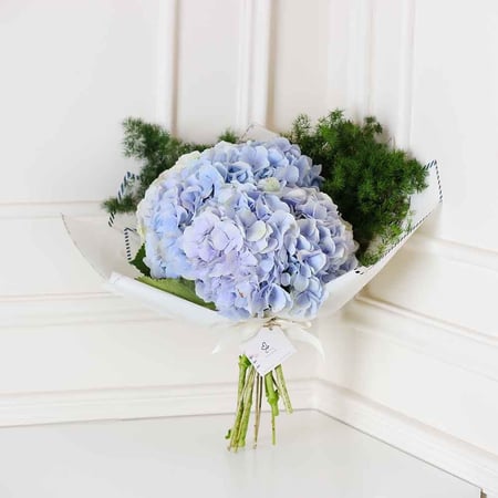 باقة الهيدرونجا ازرق فاتح