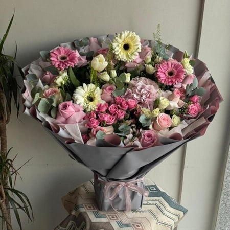 ايليجنت ستريت