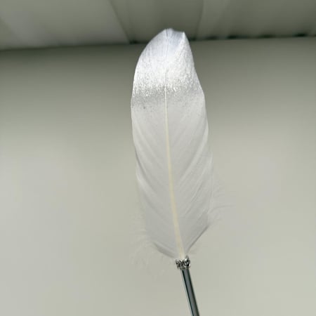 قلم ريش ابيض وفضي