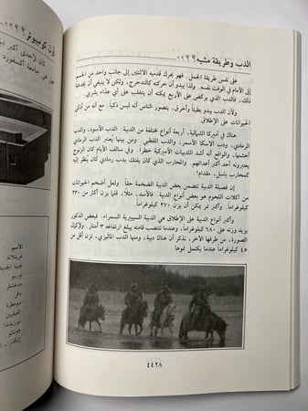 سين جيم