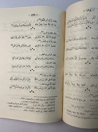 الوساطة بين المتنبي وخصومه