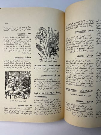 دائرة معارف الناشئين