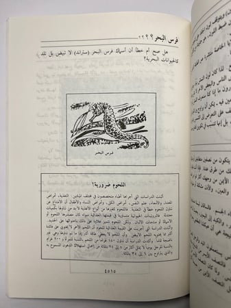 سين جيم
