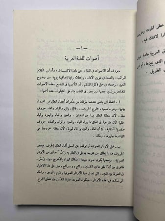 كلام العرب : من قضايا اللغة العربية