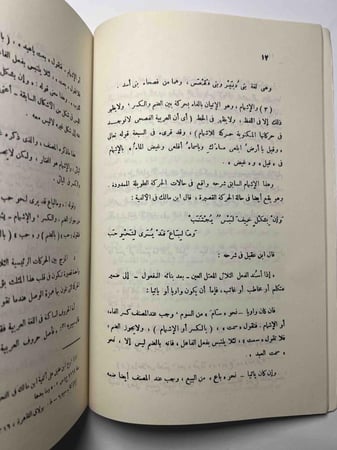 كلام العرب : من قضايا اللغة العربية