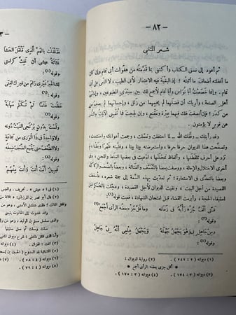الوساطة بين المتنبي وخصومه