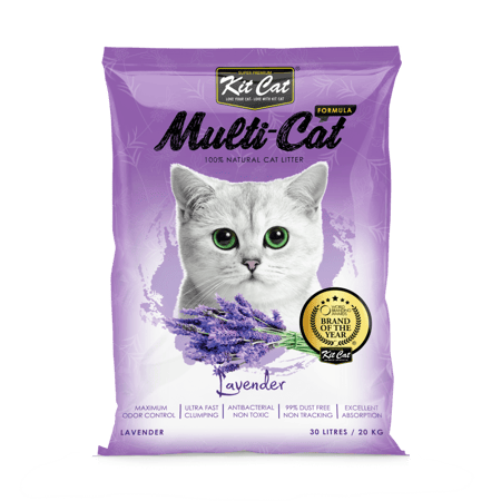 كت كات رمل لافندر 20kg