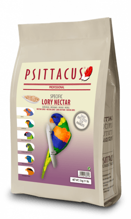 لوري نكتار LORY NECTAR