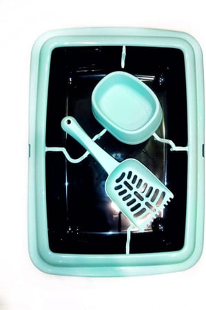 حوض رمل مع سكوب وصحن طعام لون تركواز