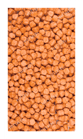 غذاء الانتاج  تربية عالية الطاقة