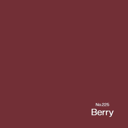 أحمر الشفاه Berry 225