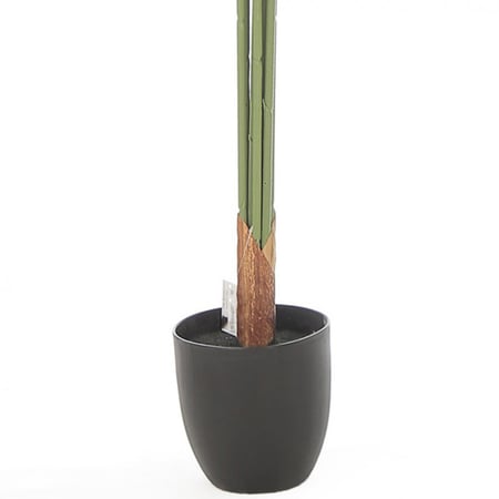 نخلة ديكور "بالم ليكس" – تصميم استوائي أنيق