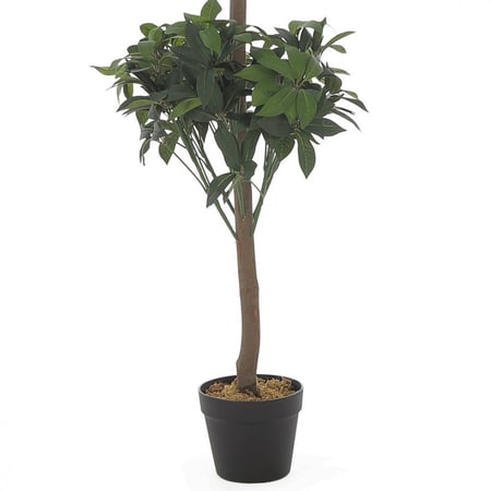 نبتة إيفيرا الصناعية – تصميم بطبقتين | 150 سم