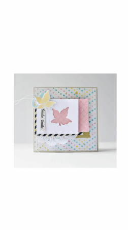 مجموعة طوابع مخطوطات لاسي