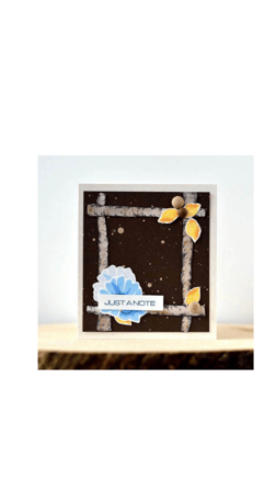 مجموعة اختام زهرة الأقحوان