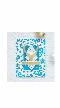 مجموعة طوابع مخطوطات لاسي