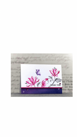 مجموعة ختم الفراشات الملونة