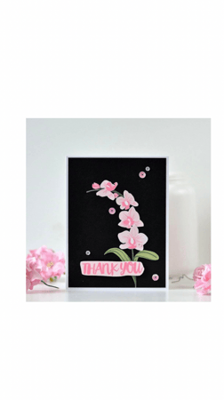 مجموعة اختام الأوركيد الشرقية