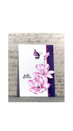 مجموعة ختم الفراشات الملونة