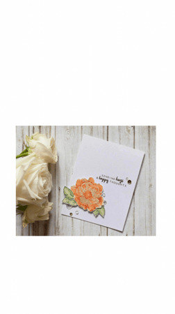 مجموعة ختم يوم جميل