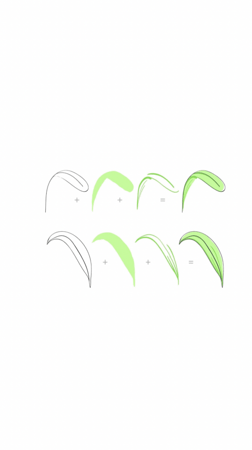 مجموعة اختام الأوركيد الشرقية