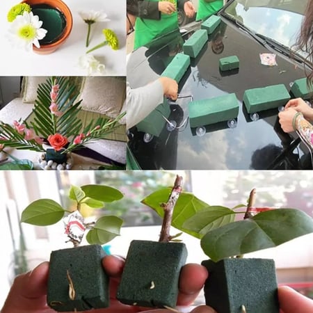 فلين ورد طبيعي