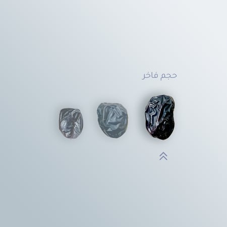 بكج تمور عجوة المدينة