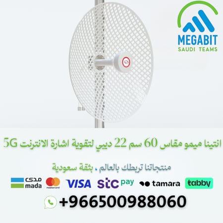 انتينا 22 ديبي