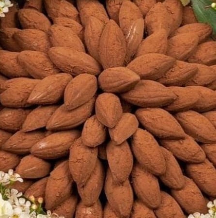 قالب شوكلاته بذرة الكاكاو