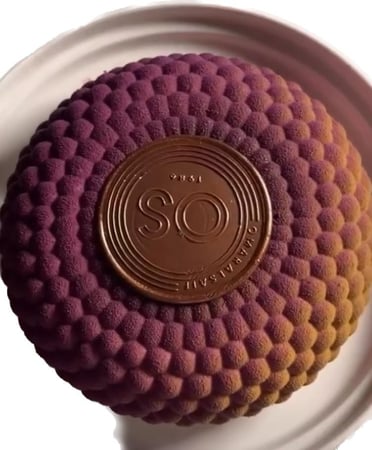 قالب تشيز سيلكون