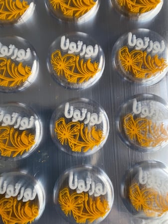 ترانسفير نورتونا