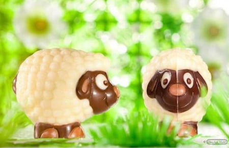 قالب شوكلاته خروف العيد