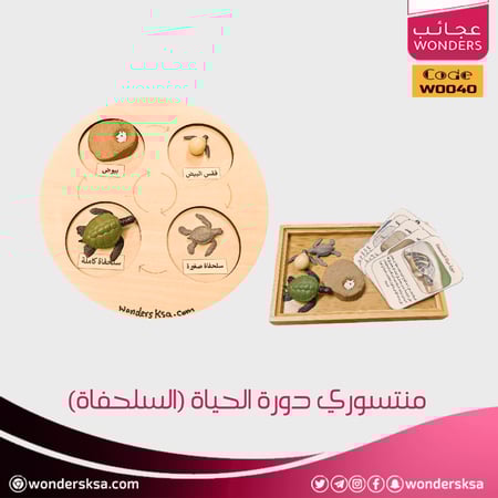 منتسوري دورة الحياة ومراحل النمو للحيوان للأطفال وحصص العلوم والأحياء