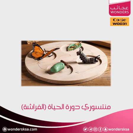 منتسوري دورة الحياة ومراحل النمو للحيوان للأطفال وحصص العلوم والأحياء