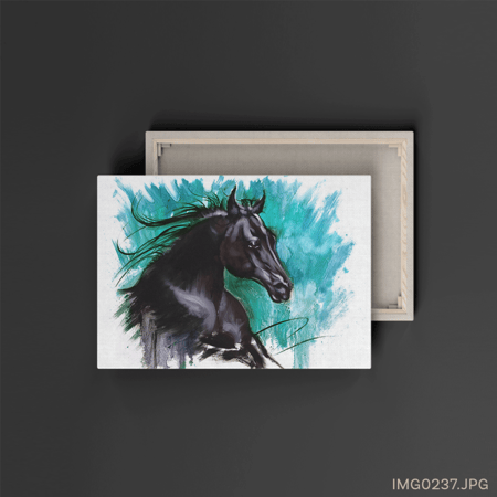 الأدهم - (W-IMG0237)