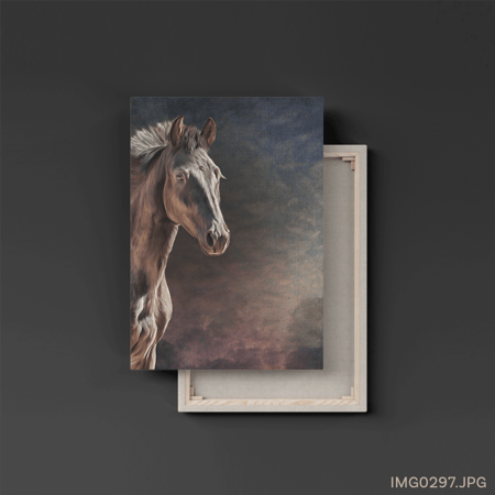 الهرم - (T-IMG0297)