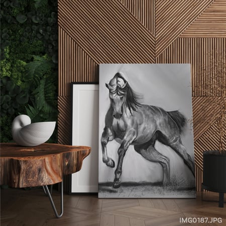 الحوى - (T-IMG0187)