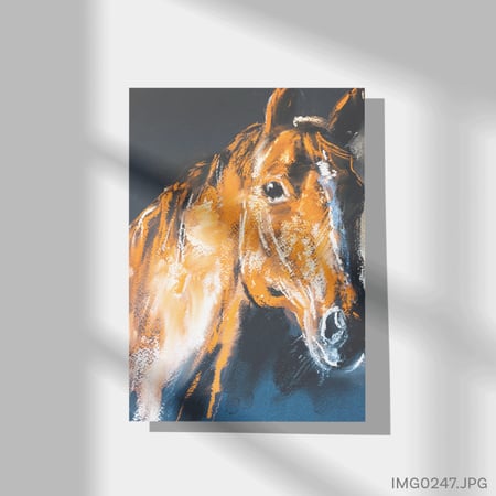 مندوب - (T-IMG0247)