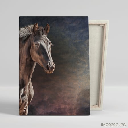 الهرم - (T-IMG0297)