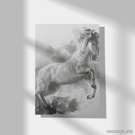 الأغر - (T-IMG0021)