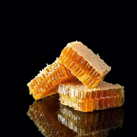 عسل سدر بلدي طبيعي ٧ كيلو