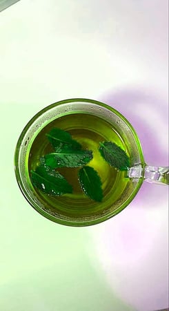 نعناع المدينة مجفف