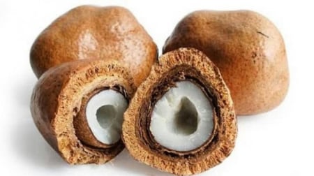 دوم المدينة