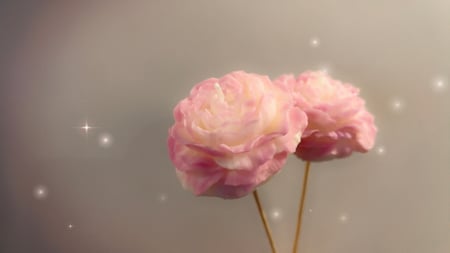 شمعة وردة الجوري المعطرة ابتداء من 3ريال فأكثر حسب الحجم المطلوب