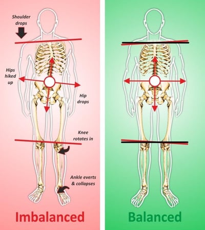 حزام للميل الحوضي للكرش والخفسات والجنف