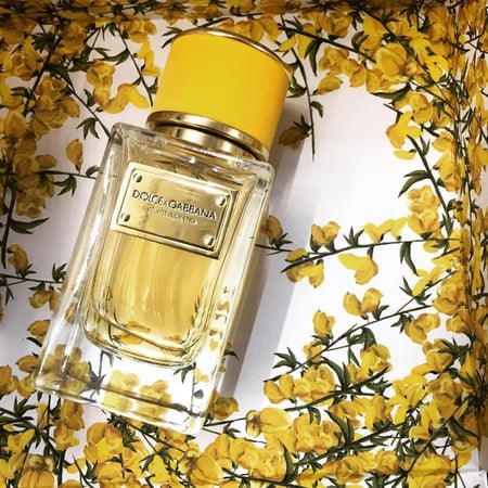 عطر دولتشي جابانا فلفت جنسترا 50ملي (كرتون تستر)