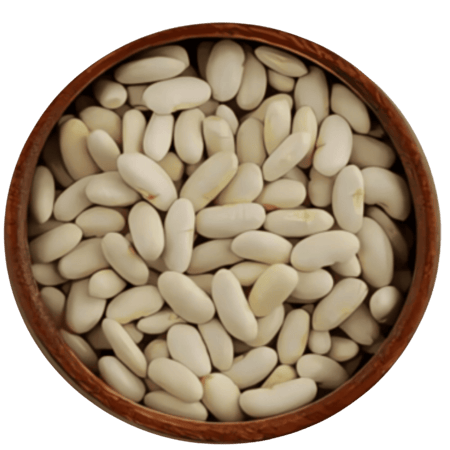 فاصولياء بيضاء